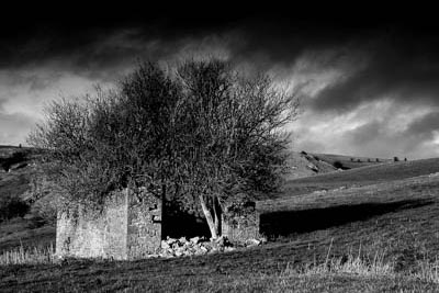 The Hairy House Before the Storm - Draycott Housegrounds, Somerset, UK.
